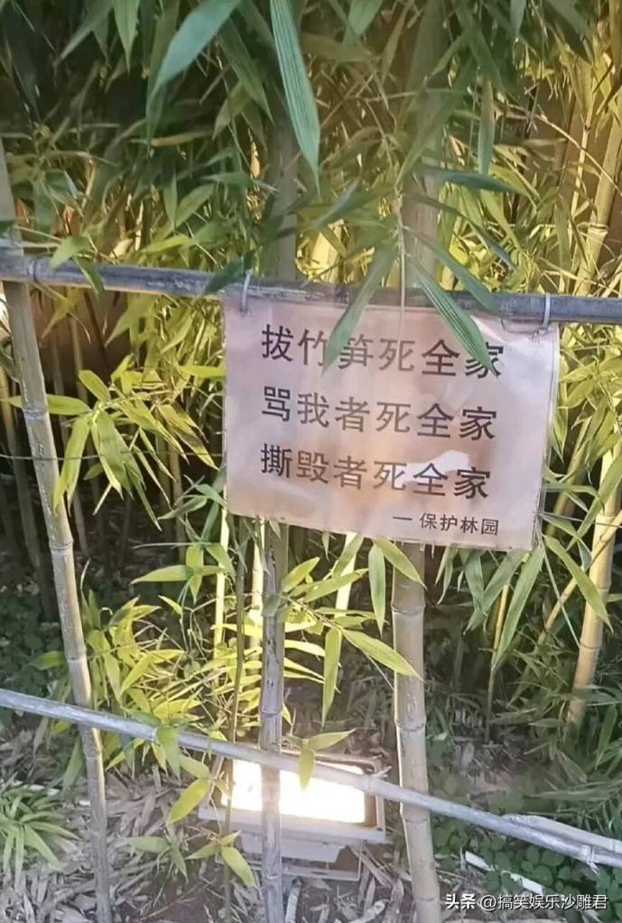 3DM輕松一刻第1619期 看得出美女使出了全身力氣