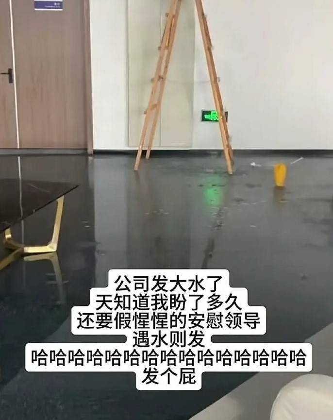 3DM輕松一刻第1619期 看得出美女使出了全身力氣