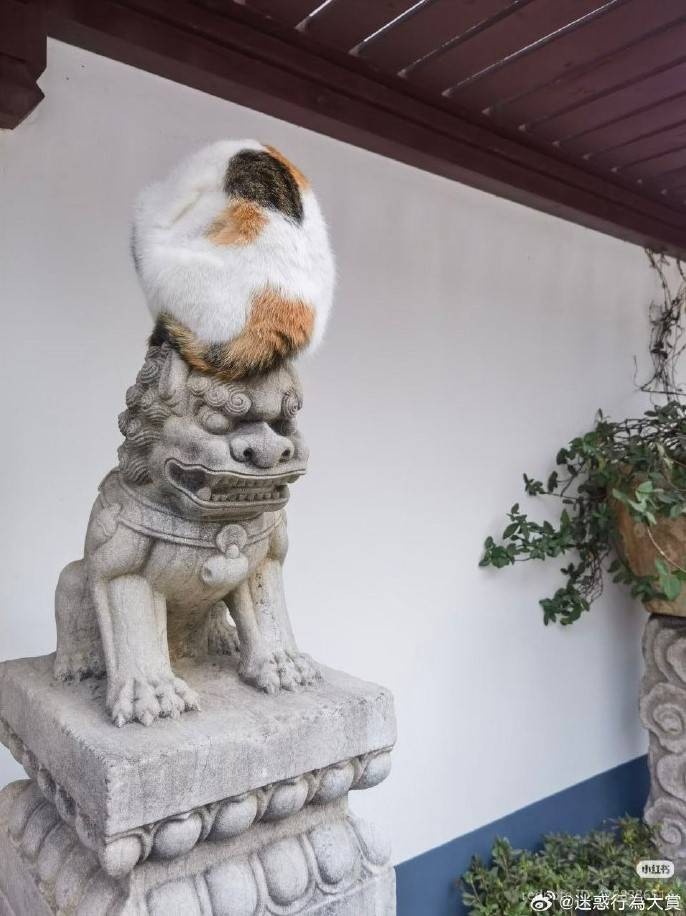 3DM����һ�̵�1620�� ��Ů���ϳ��ű�������һ��