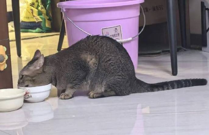 3DM����һ�̵�1620�� ��Ů���ϳ��ű�������һ��