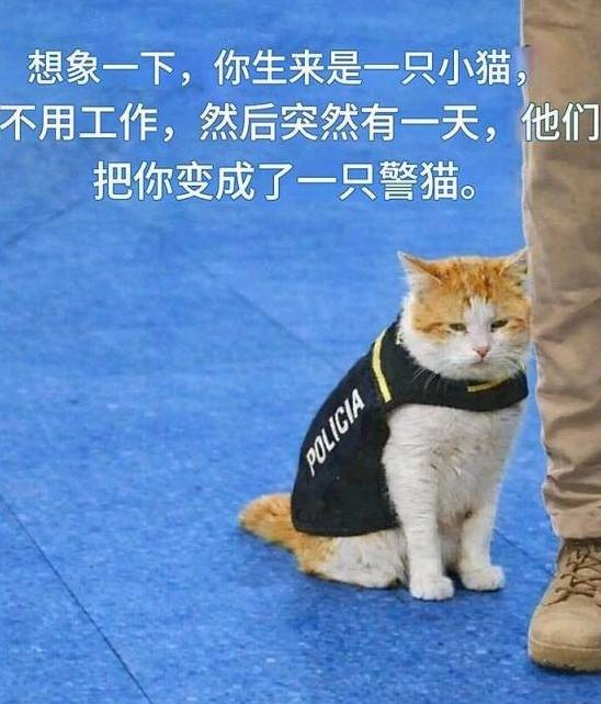 3DM����һ�̵�1621�� ���ȵ�С���˭��ϲ����