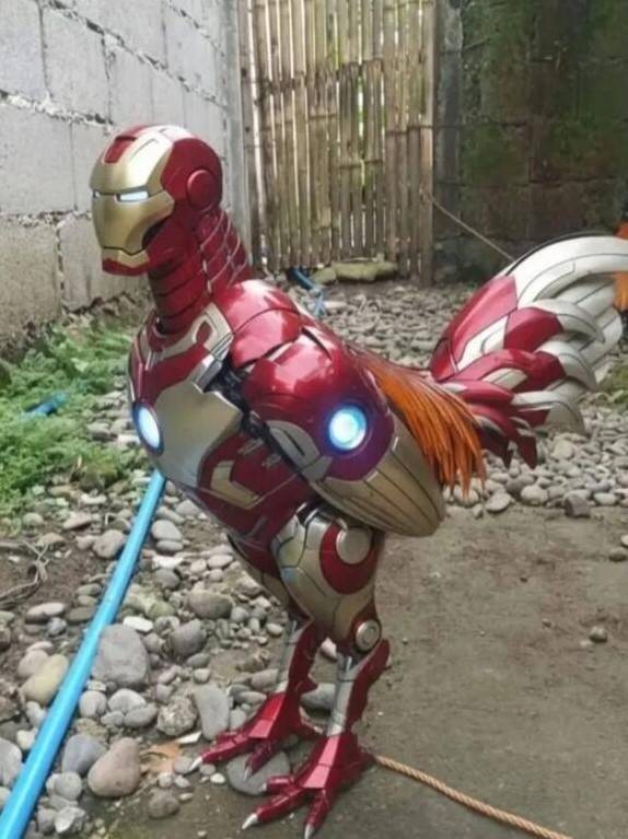 3DM����һ�̵�1621�� ���ȵ�С���˭��ϲ����