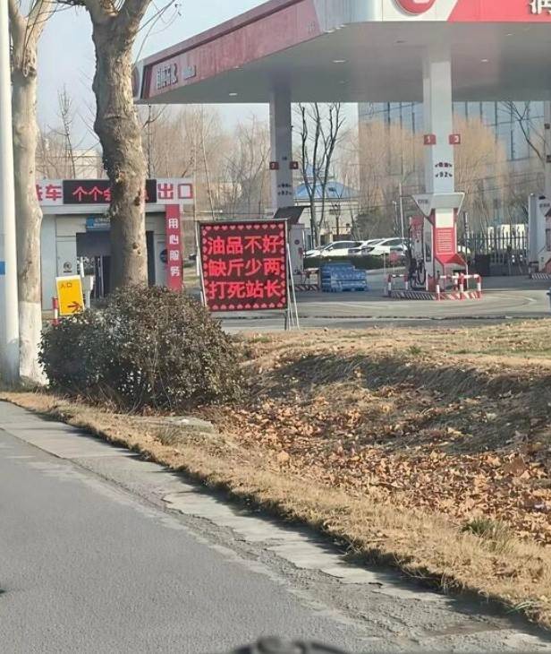 3DM����һ�̵�1621�� ���ȵ�С���˭��ϲ����