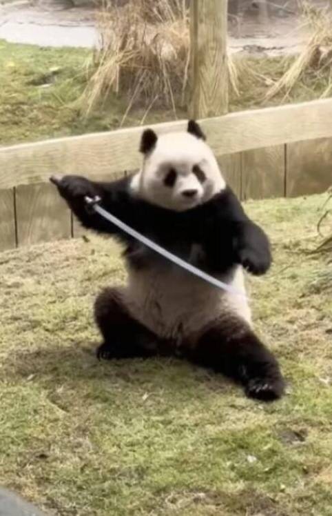 3DM����һ�̵�1621�� ���ȵ�С���˭��ϲ����