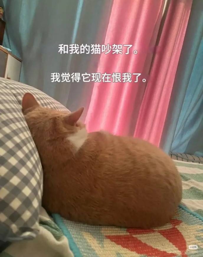 3DM����һ�̵�1622�� �������ʲô��Ϸ��ô�̼�