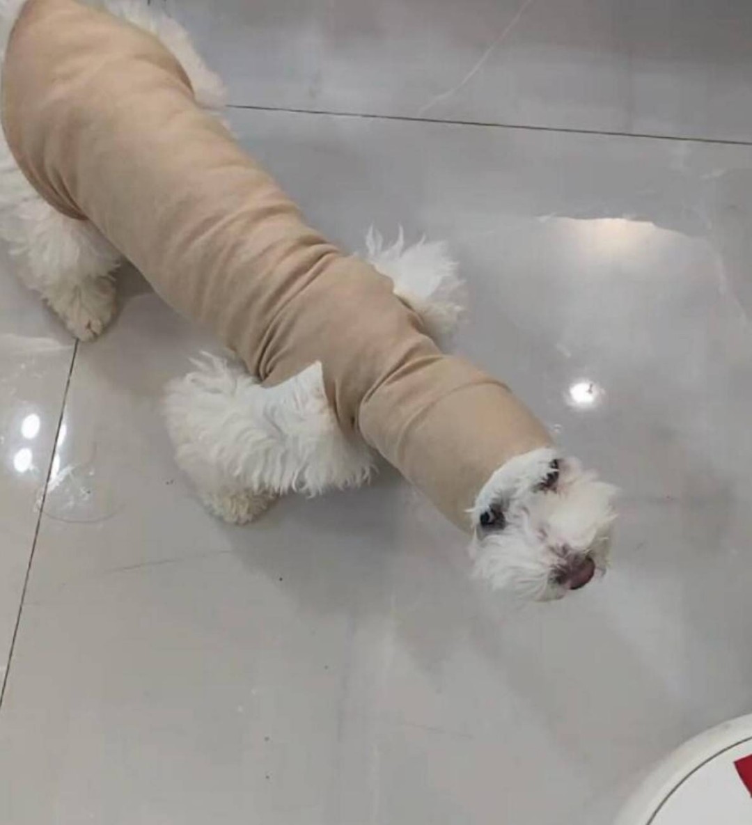 ���帣����ͼ�Ʒ�ϵ�� ��Ů��ˮ�����٤��ɶ˵��