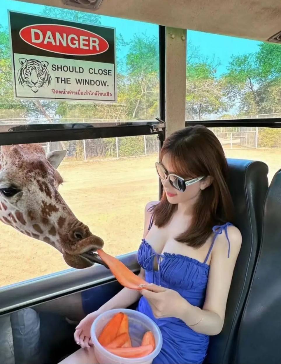 ���帣����ͼ�Ʒ�ϵ�� ��Ů��ˮ�����٤��ɶ˵��