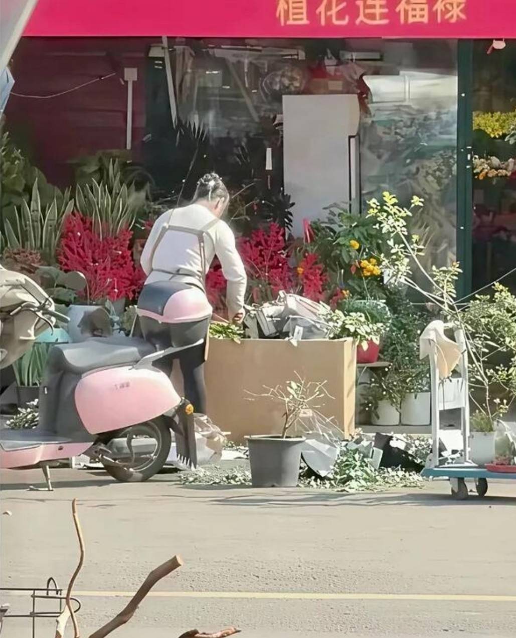 ���帣����ͼ�Ʒ�ϵ�� ��Ů��ˮ�����٤��ɶ˵��