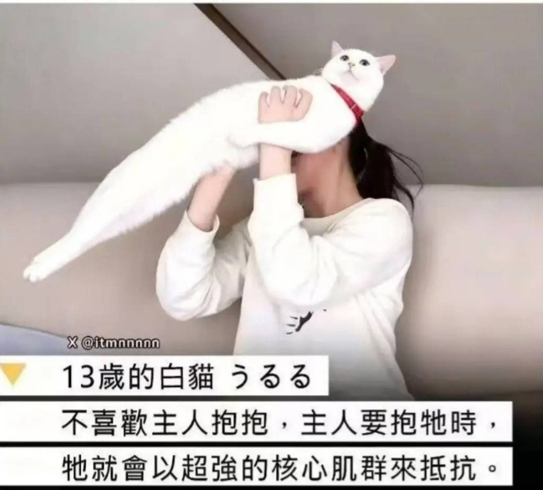 ���帣����ͼ�Ʒ�ϵ�� ��Ů��ˮ�����٤��ɶ˵��