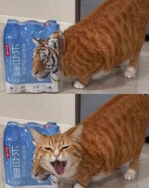 3DM����һ�̵�1623�� ��ŮΪ����Cos��ɫ̫ƴ��