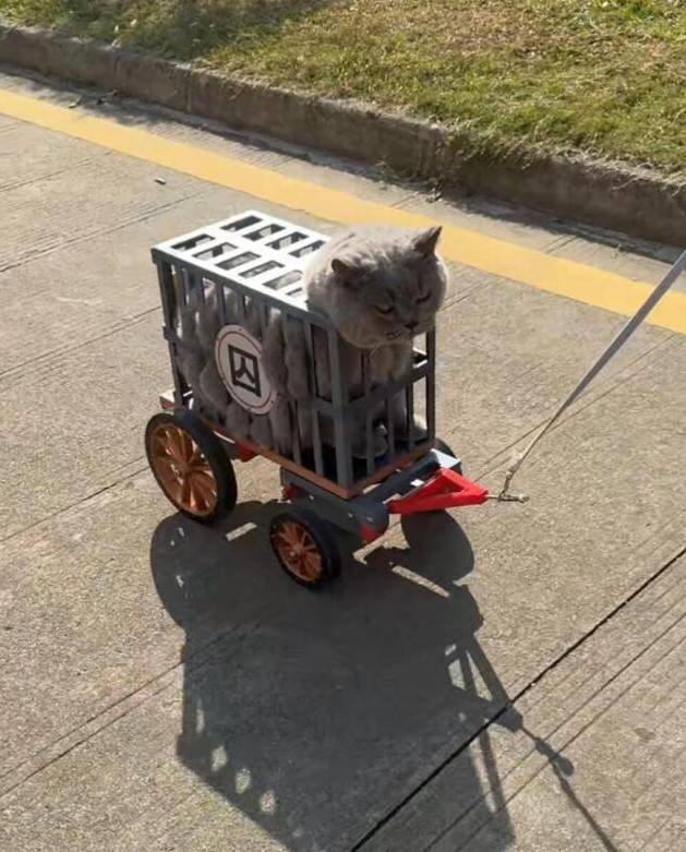 3DM����һ�̵�1623�� ��ŮΪ����Cos��ɫ̫ƴ��