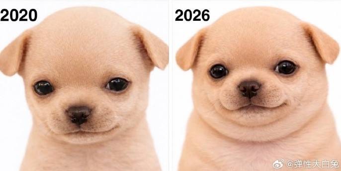 3DM����һ�̵�1623�� ��ŮΪ����Cos��ɫ̫ƴ��