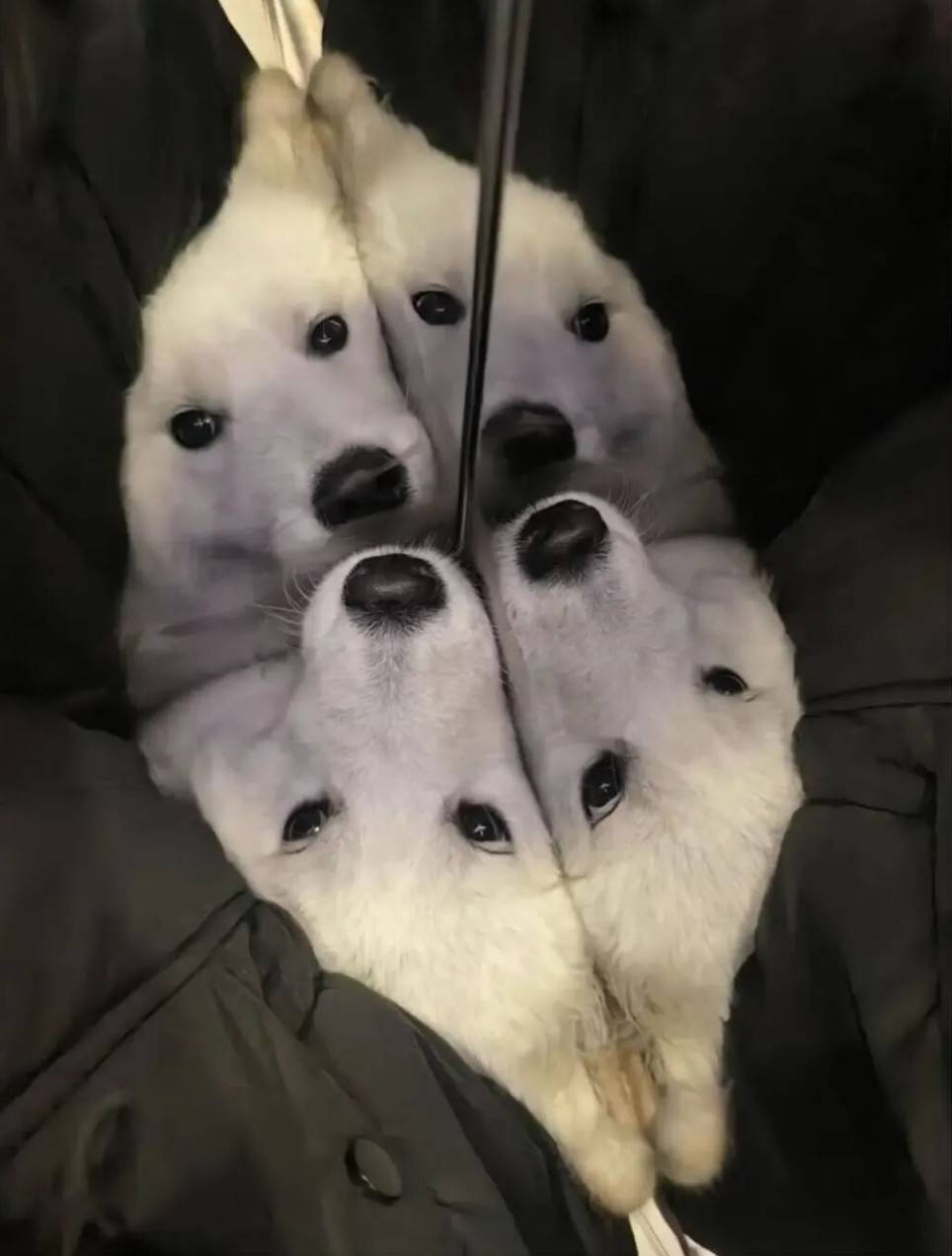 ��һ�ں���ͼ�Ʒ�ϵ�� ���˴��������ûŮ��ɶ��