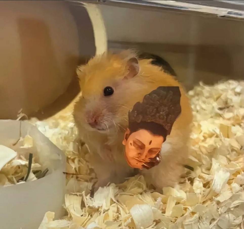 ��һ�ں���ͼ�Ʒ�ϵ�� ���˴��������ûŮ��ɶ��