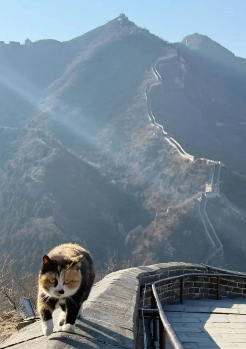 ��һ�ں���ͼ�Ʒ�ϵ�� ���˴��������ûŮ��ɶ��