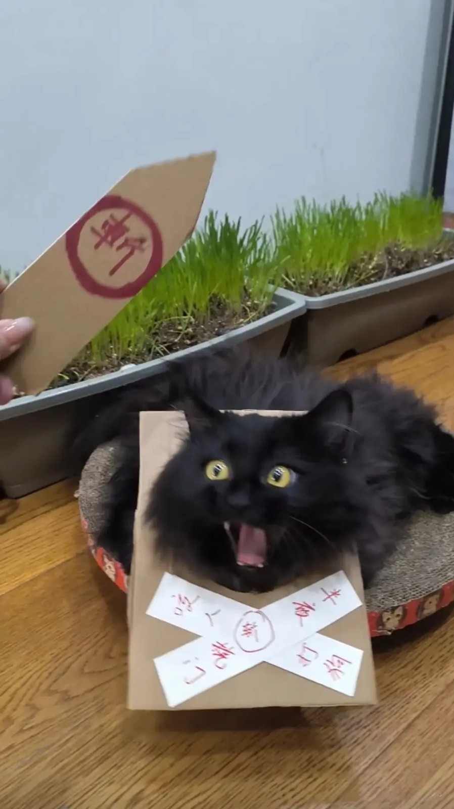 ��һ�ں���ͼ�Ʒ�ϵ�� ���˴��������ûŮ��ɶ��