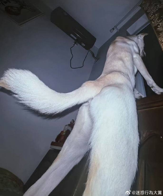 3DM����һ�̵�1624�� ��������ǰ�λ����Ƶģ�