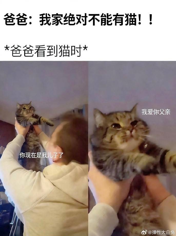 3DM����һ�̵�1624�� ��������ǰ�λ����Ƶģ�