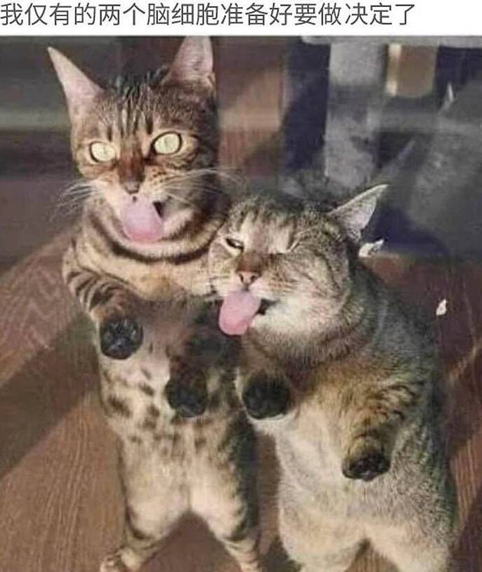 3DM����һ�̵�1624�� ��������ǰ�λ����Ƶģ�