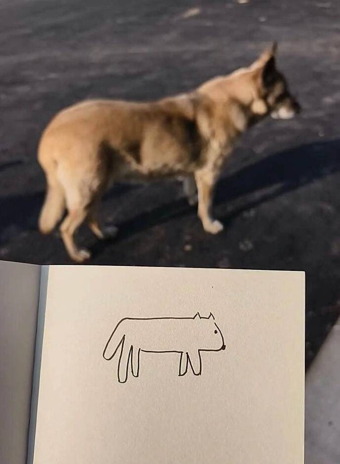 3DM����һ�̵�1624�� ��������ǰ�λ����Ƶģ�