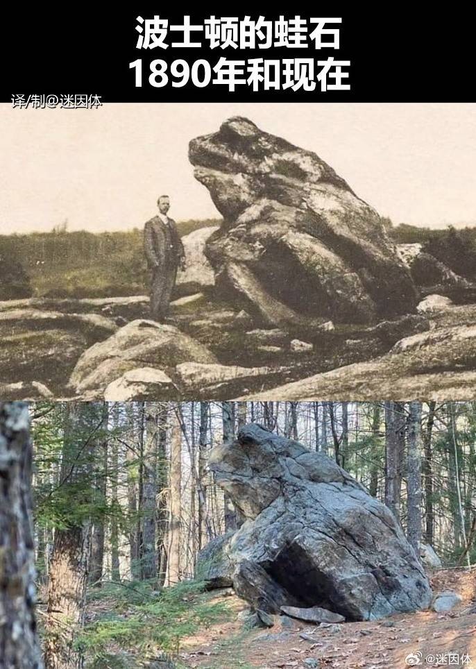 3DM����һ�̵�1624�� ��������ǰ�λ����Ƶģ�