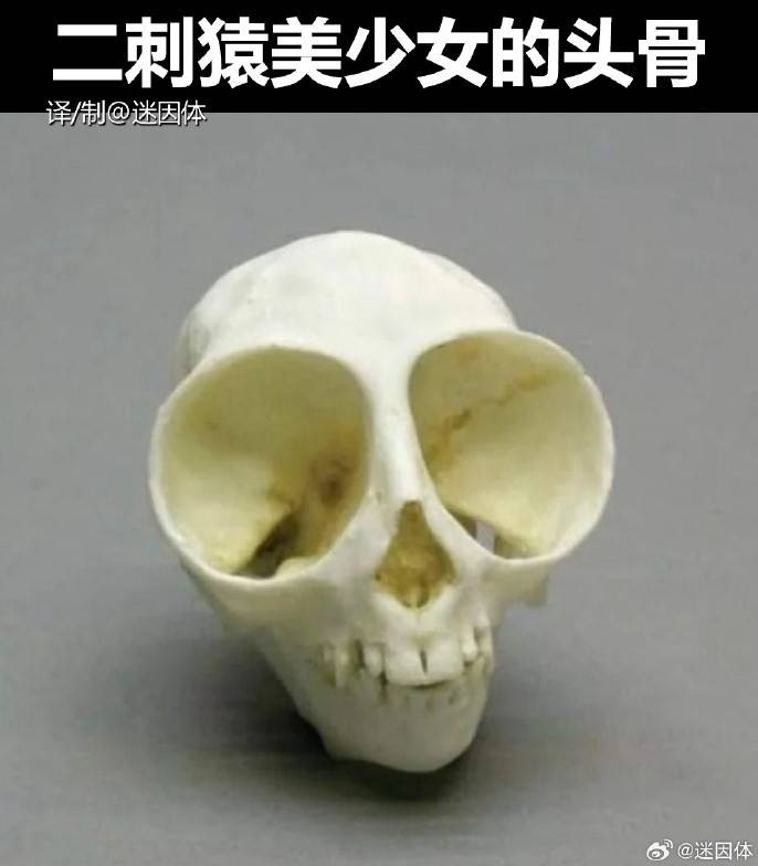 3DM����һ�̵�1625�� Ϊɶ�����Ƕ���ϲ��ϵ����