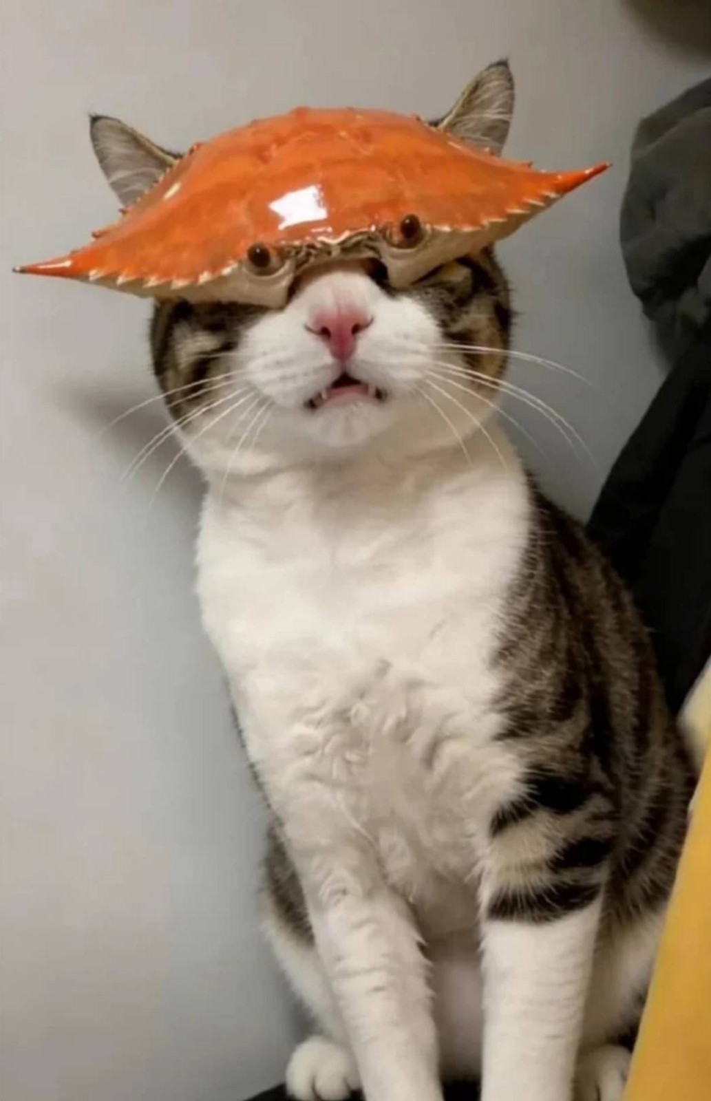 3DM����һ�̵�1625�� Ϊɶ�����Ƕ���ϲ��ϵ����