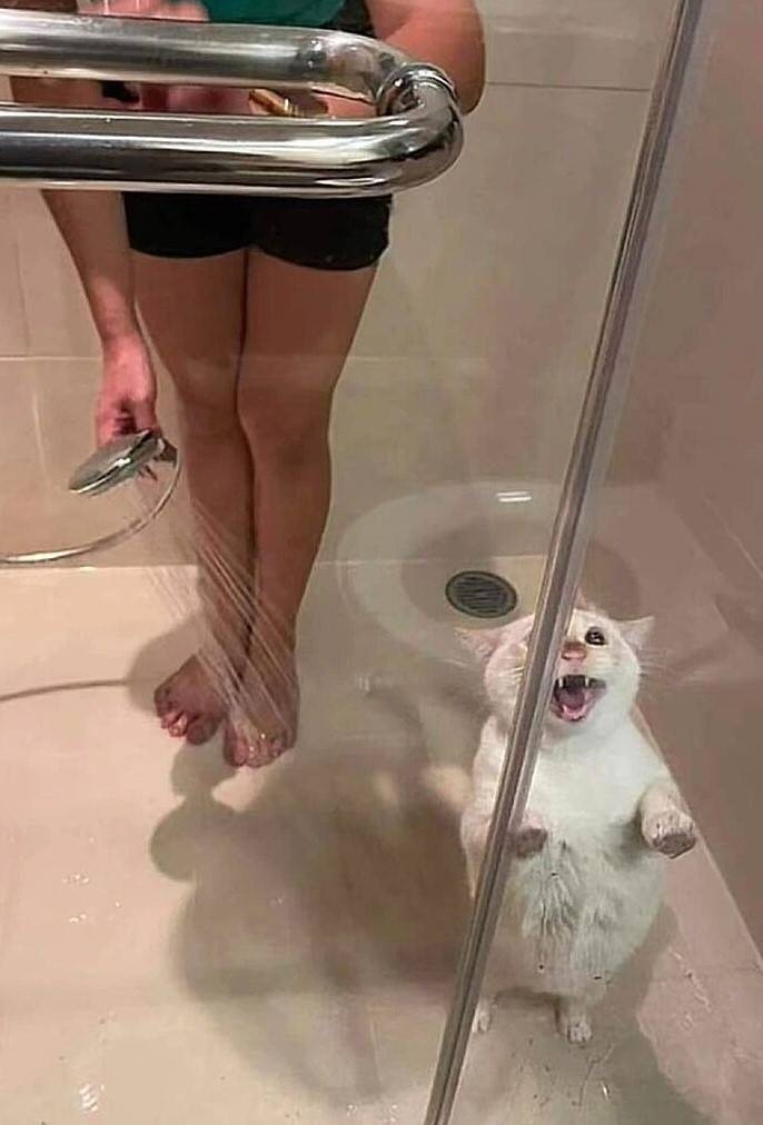 3DM����һ�̵�1626�� ���ӵ�������ʲô��������