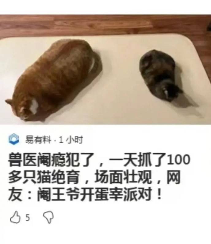 3DM����һ�̵�1626�� ���ӵ�������ʲô��������