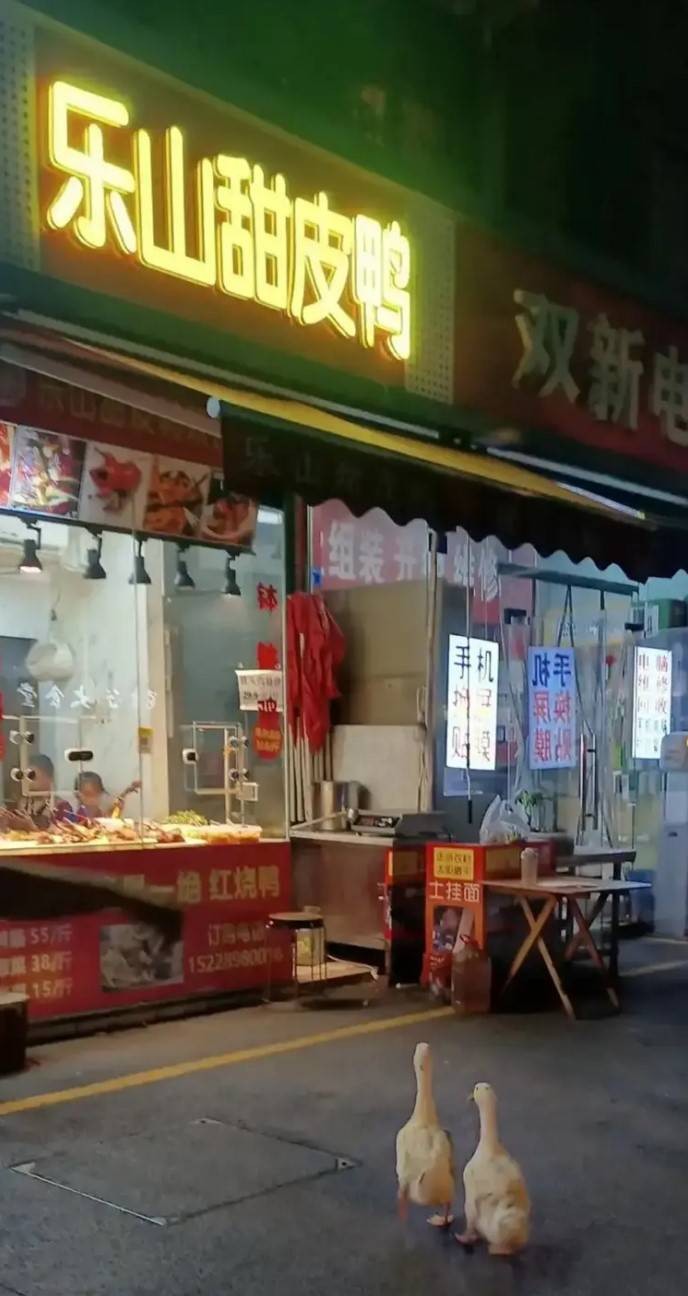 3DM����һ�̵�1626�� ���ӵ�������ʲô��������