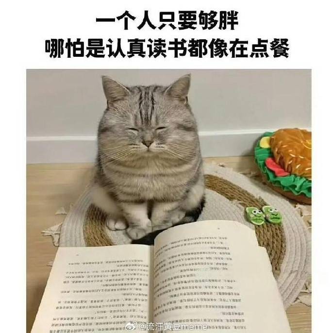 3DM����һ�̵�1627�� KTV��VIP�����Ȼ�����鴫