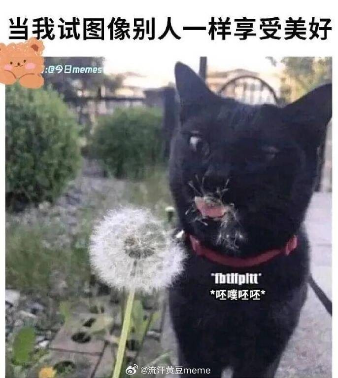 3DM����һ�̵�1627�� KTV��VIP�����Ȼ�����鴫