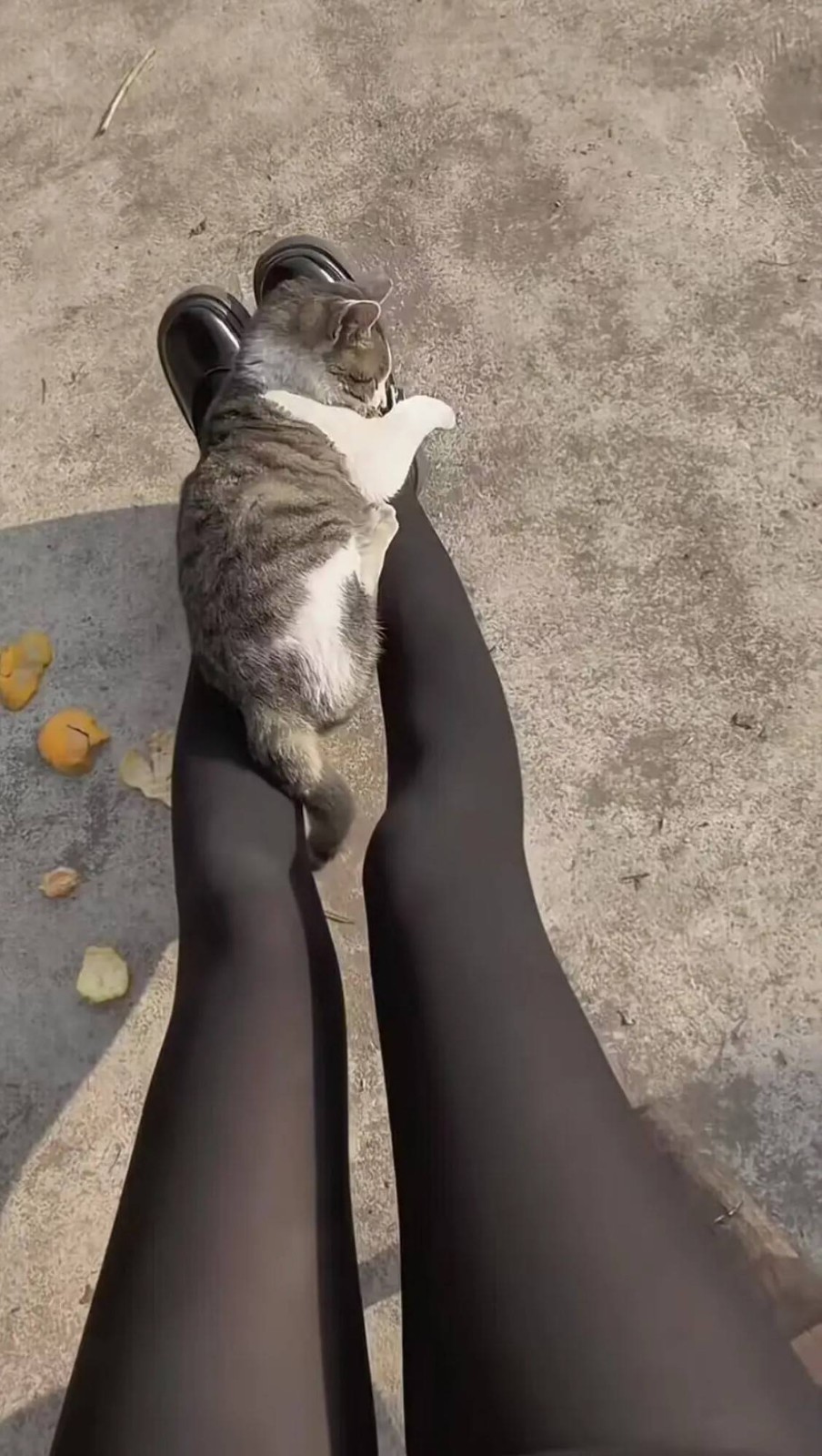 ���帣����ͼ�Ʒ�ϵ�� �࿴��Ů�������Ľ�����