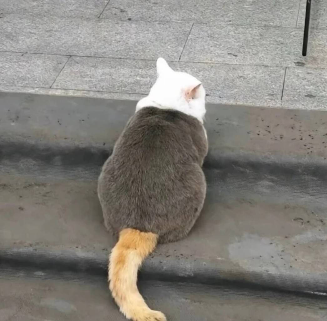 ���帣����ͼ�Ʒ�ϵ�� �࿴��Ů�������Ľ�����