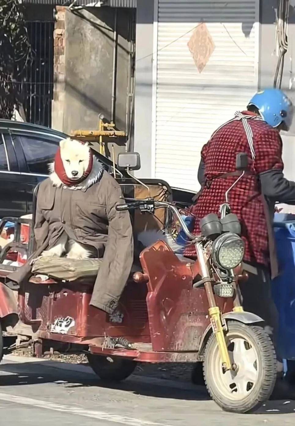 ���帣����ͼ�Ʒ�ϵ�� �࿴��Ů�������Ľ�����