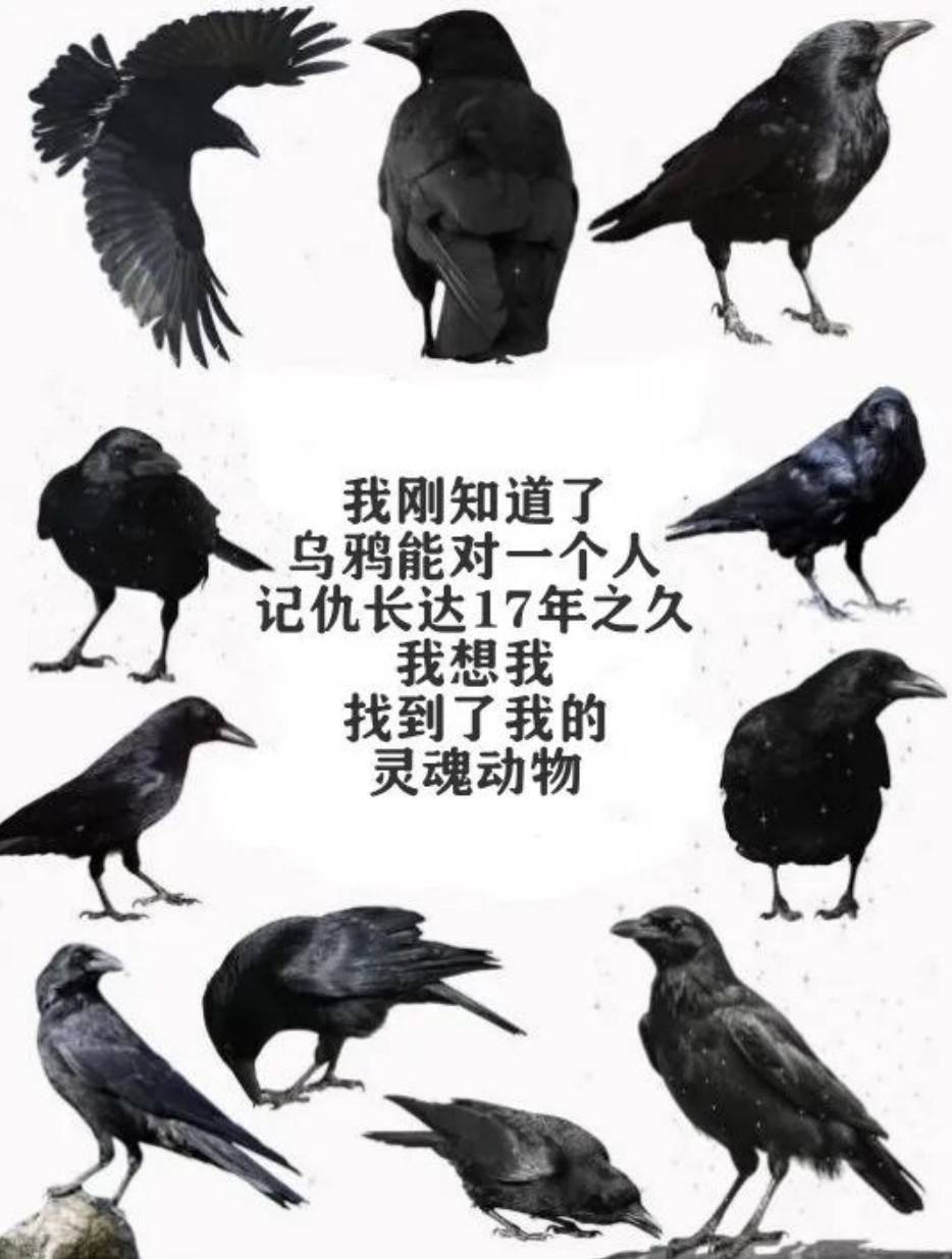 ���帣����ͼ�Ʒ�ϵ�� �࿴��Ů�������Ľ�����