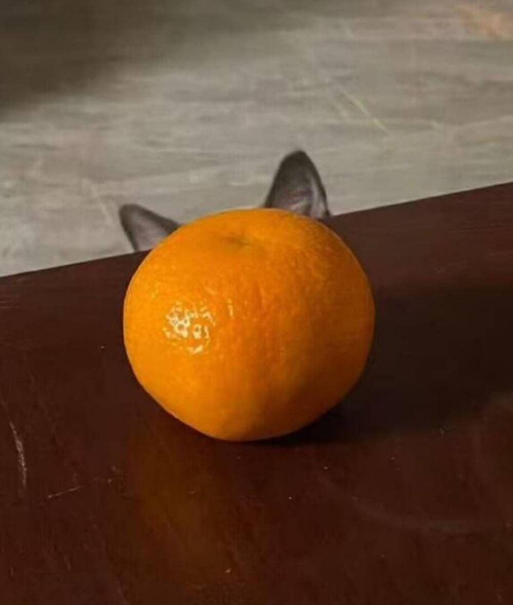 ���帣����ͼ�Ʒ�ϵ�� �࿴��Ů�������Ľ�����