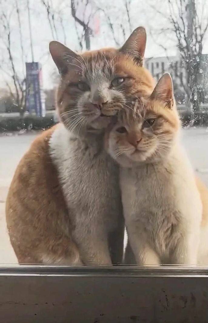 3DM����һ�̵�1628�� ��˾����Ů��ֵ��һȥ��