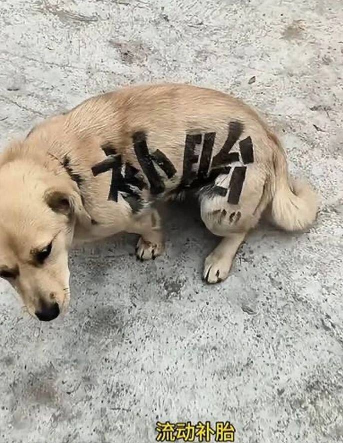 3DM����һ�̵�1628�� ��˾����Ů��ֵ��һȥ��