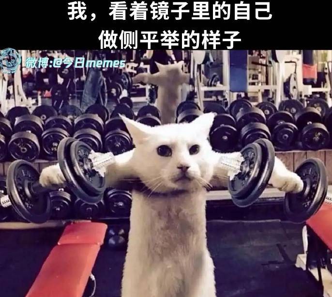 3DM����һ�̵�1628�� ��˾����Ů��ֵ��һȥ��