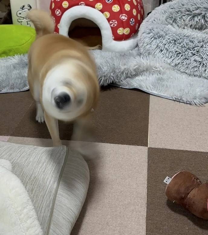 3DM����һ�̵�1628�� ��˾����Ů��ֵ��һȥ��