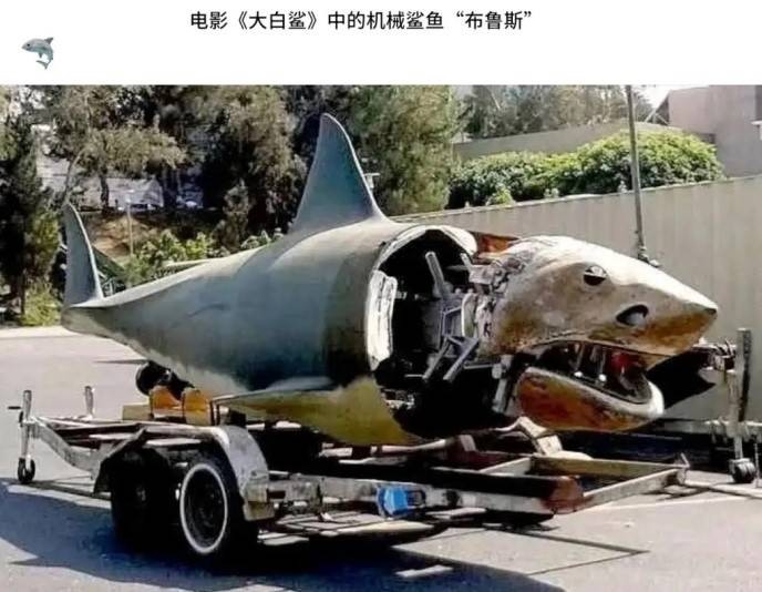 3DM����һ�̵�1628�� ��˾����Ů��ֵ��һȥ��