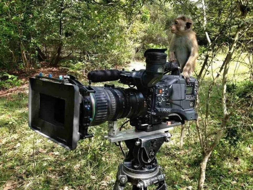 ��һ�ں���ͼ�Ʒ�ϵ�� ��Ϸ��Ů��Ҳ�ǿ��Լ�õ�