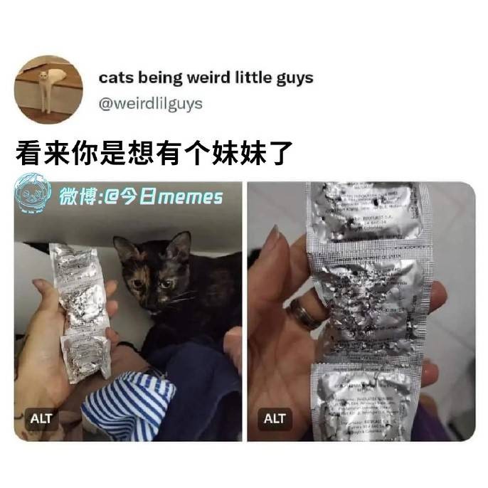 3DM����һ�̵�1629�� ��λ��������ʵ��̫רҵ��