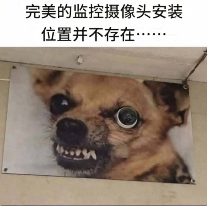 3DM����һ�̵�1629�� ��λ��������ʵ��̫רҵ��