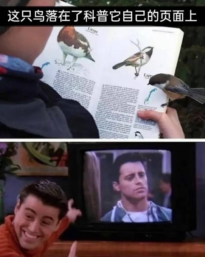 3DM����һ�̵�1629�� ��λ��������ʵ��̫רҵ��