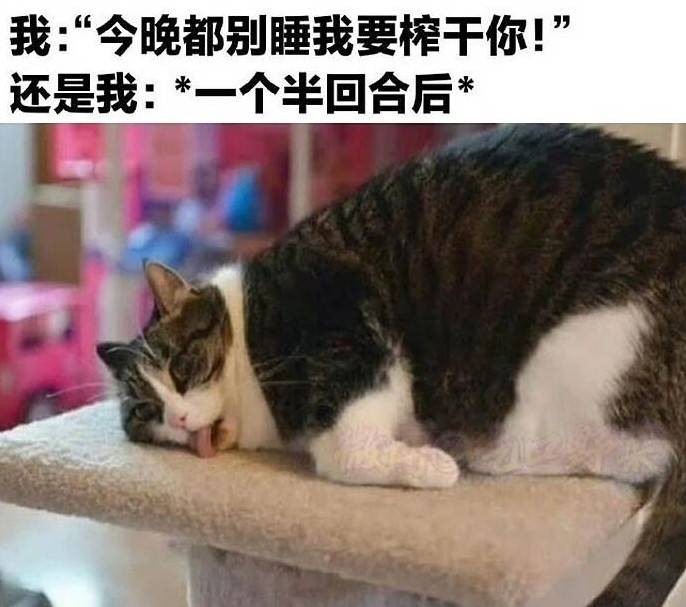 3DM����һ�̵�1629�� ��λ��������ʵ��̫רҵ��