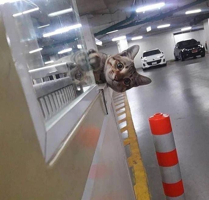 3DM����һ�̵�1629�� ��λ��������ʵ��̫רҵ��