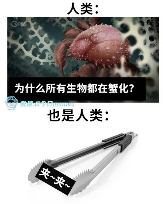 3DM����һ�̵�1629�� ��λ��������ʵ��̫רҵ��