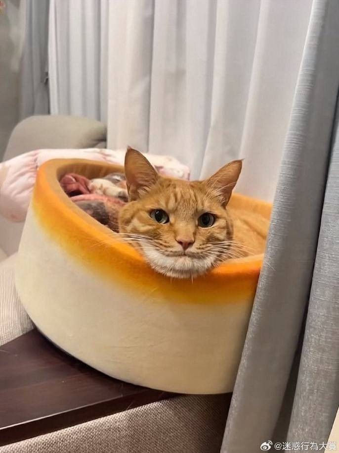 3DM����һ�̵�1630�� ���Ǻ�˿��Ů�ǿ������